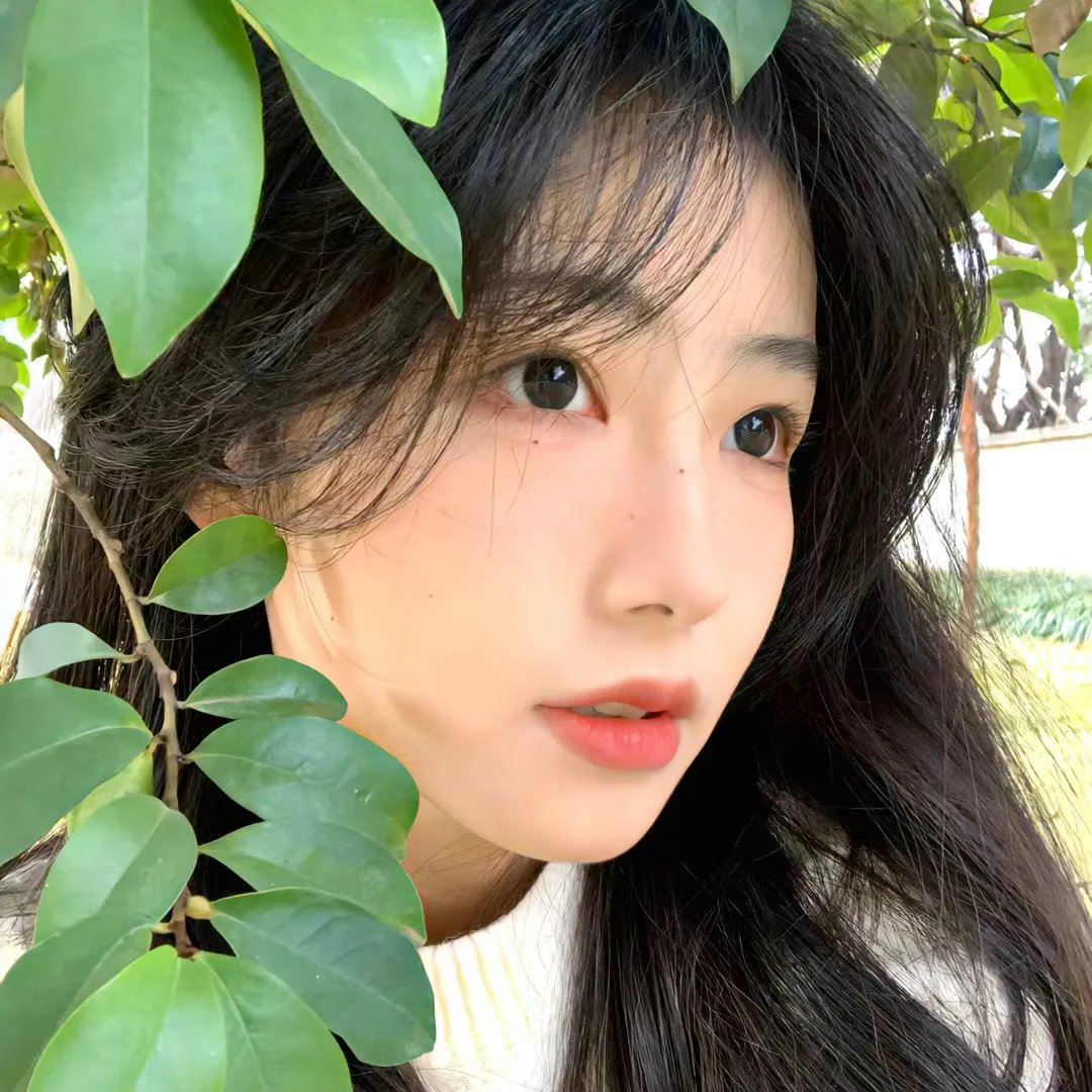 相思光年